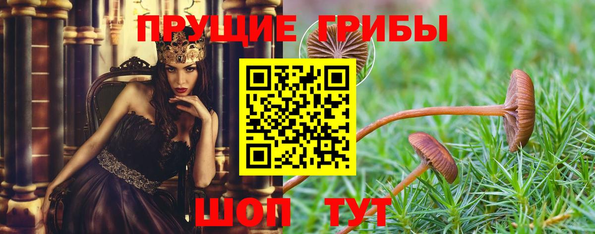 Галлюциногенные грибы прущие грибы  Псилоцибиновые грибы прущие грибы  Вход с VPN  Ступино 